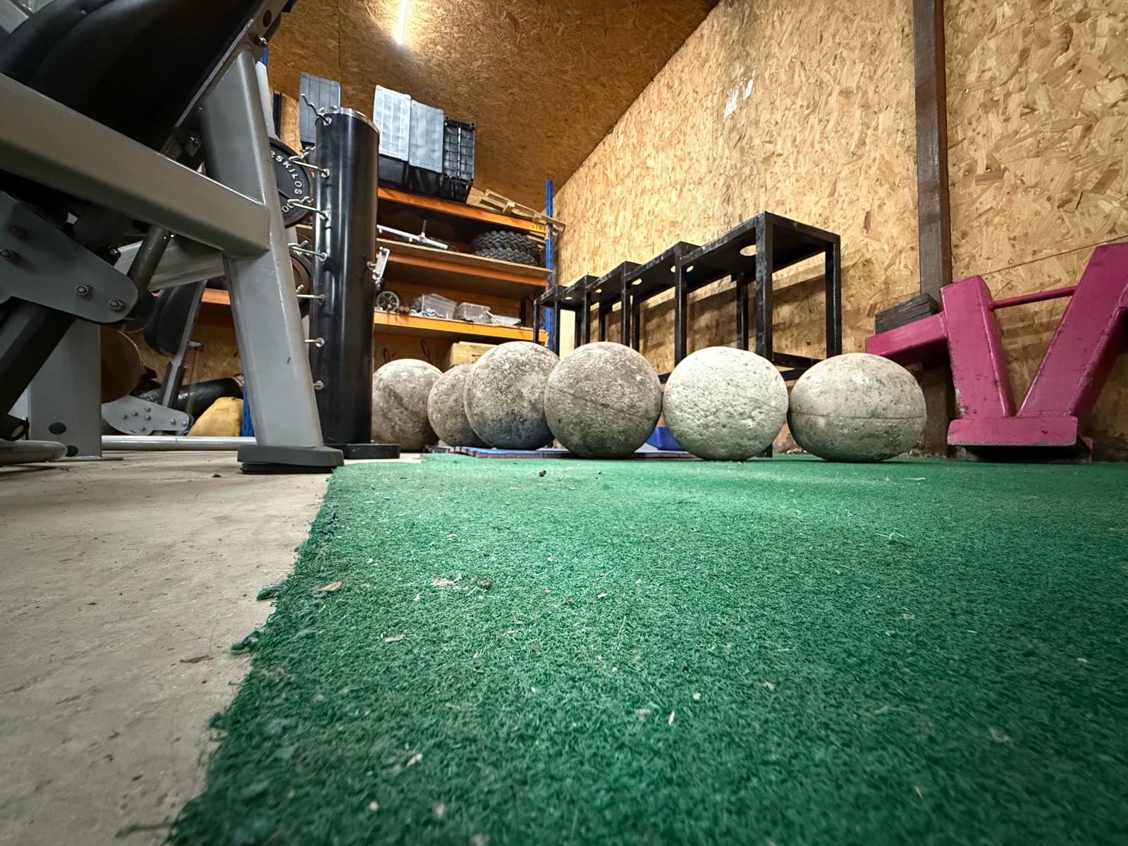 Professional Lifting Area